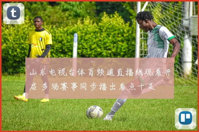 山东电视台体育频道直播线观看开启 多场赛事同步播出看点十足