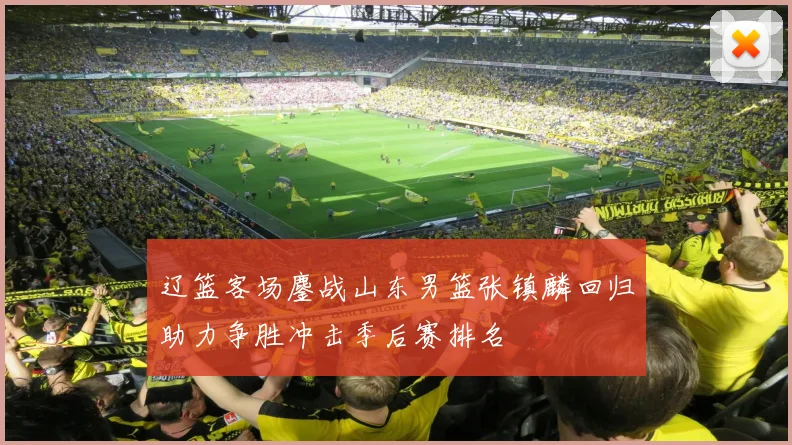 辽篮客场鏖战山东男篮张镇麟回归助力争胜冲击季后赛排名