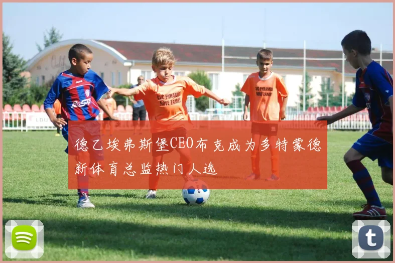 德乙埃弗斯堡CEO布克成为多特蒙德新体育总监热门人选