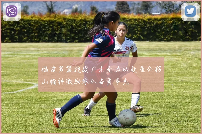 福建男篮迎战广东全力以赴鱼公移山精神激励球队奋勇争先